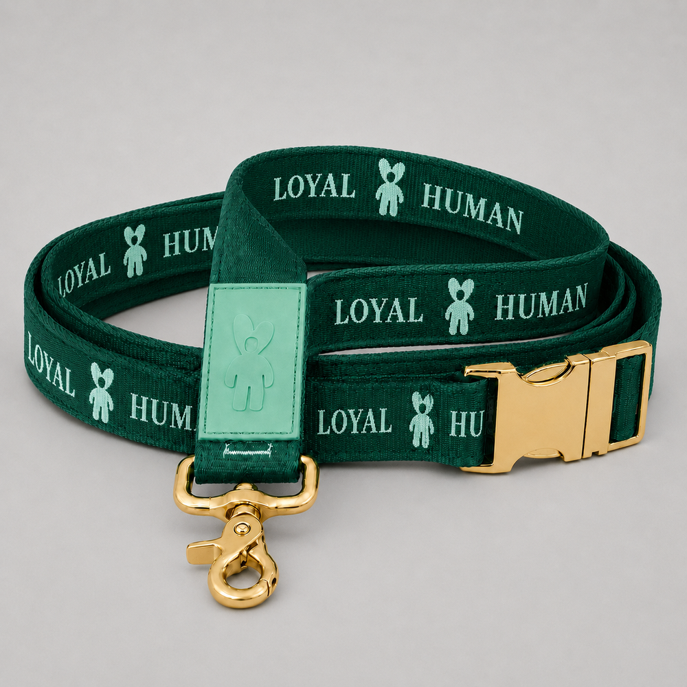 The Loyal Leash